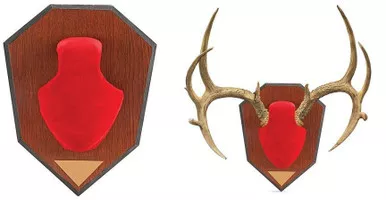 Allen Antler Mounting Kit Red Skull
