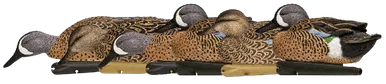 Avian-X Topflight Blue-Winged Teal Decoy 6-Pack