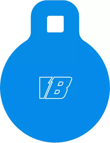 Bash Target Supply AR500 Gong Target 4.5 Inch