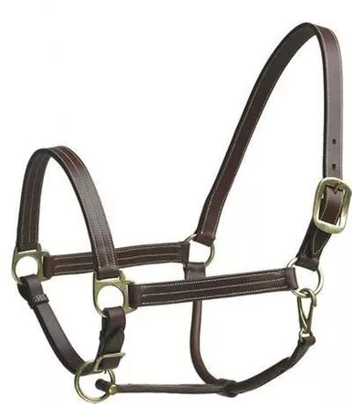 CAMELOT Stable Halter (464281BRN)