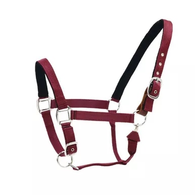 CENTAUR Solid Cushion Padded Breakaway Burgundy Halter (468769BUR-COB)