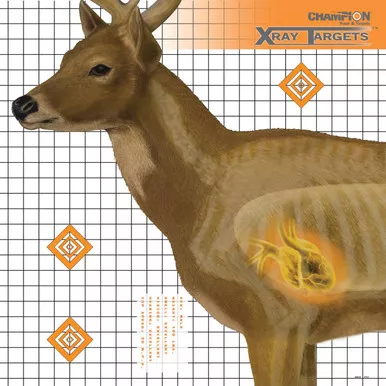 Champion X-Ray Paper Targets Deer 25x25 6-Pack