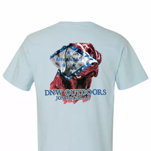 Lab Ark Flag Short Sleeve Tee by DNW