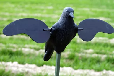 Mojo Outdoors Crow Motion Decoy