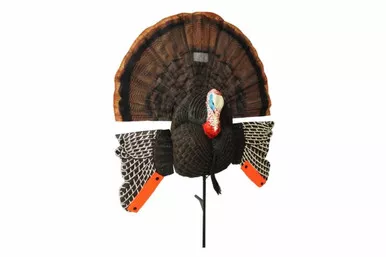 Mojo Scoot-N-Shoot Max Predator Decoy