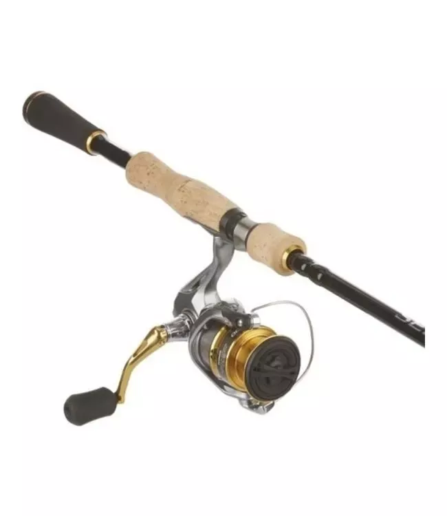 Shimano Sedona 2500 FI Spinning Combo 6'6 Medium Fast PSE2500FISES66M2